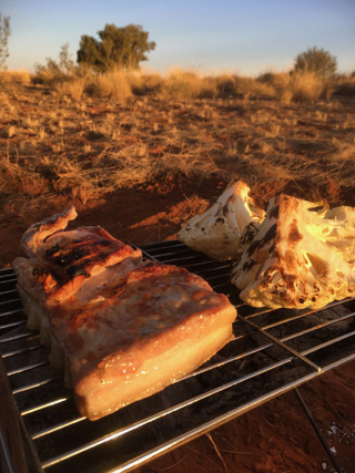 Illustration for article titled AWOL Around Australia... The Red Centre - West - Part 1